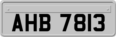 AHB7813