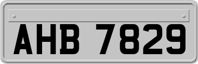AHB7829