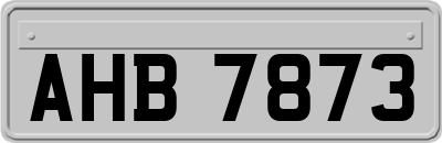 AHB7873