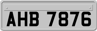 AHB7876