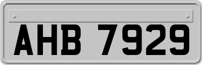 AHB7929