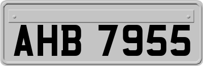 AHB7955