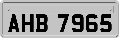 AHB7965
