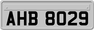 AHB8029