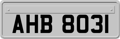 AHB8031