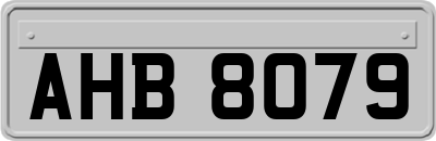 AHB8079