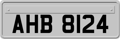 AHB8124