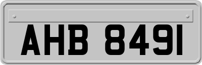 AHB8491