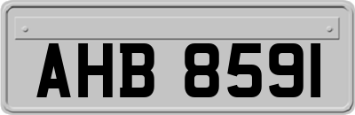 AHB8591