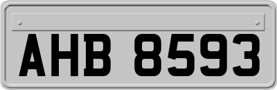 AHB8593