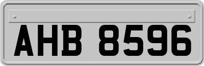 AHB8596
