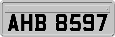 AHB8597