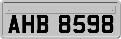 AHB8598