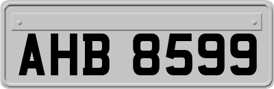 AHB8599