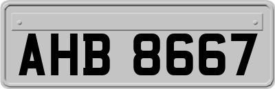 AHB8667