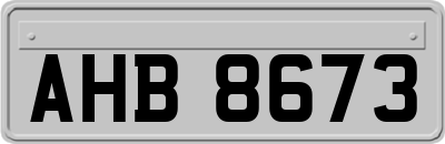 AHB8673