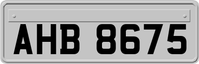 AHB8675