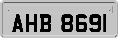 AHB8691
