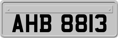 AHB8813