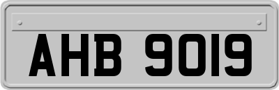 AHB9019