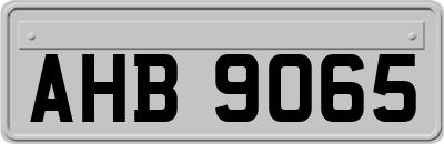 AHB9065