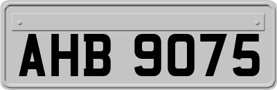 AHB9075