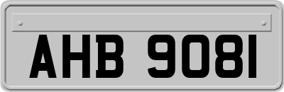AHB9081