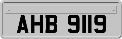 AHB9119