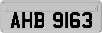 AHB9163