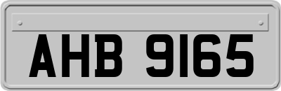 AHB9165