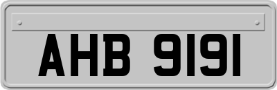 AHB9191
