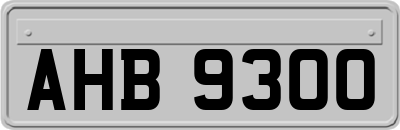 AHB9300