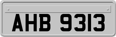 AHB9313