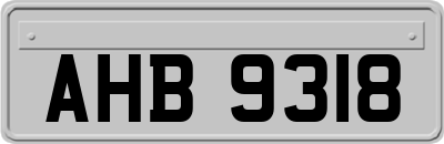 AHB9318