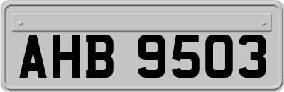 AHB9503