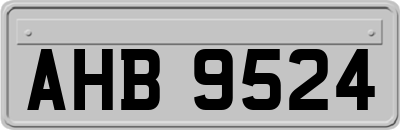 AHB9524