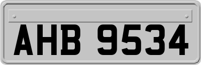 AHB9534