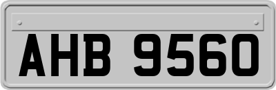 AHB9560