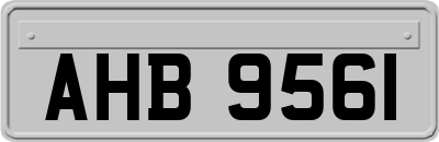 AHB9561