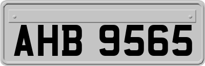 AHB9565