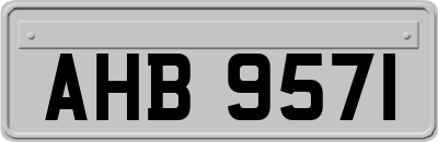 AHB9571