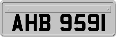 AHB9591