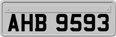 AHB9593