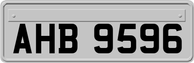 AHB9596