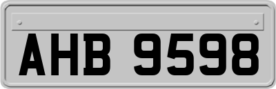 AHB9598