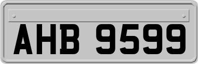 AHB9599