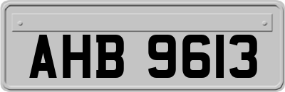 AHB9613