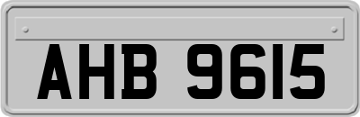 AHB9615