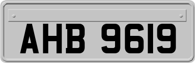 AHB9619