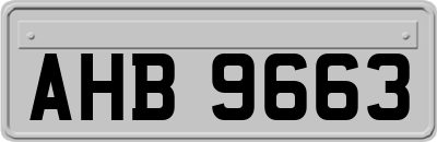 AHB9663